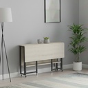 Convertible Folding Table