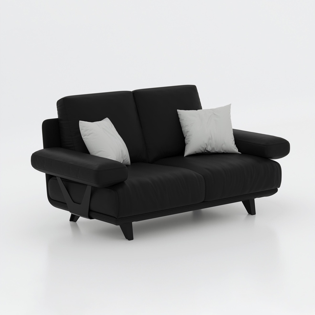 Evelo Double Seater Sofa