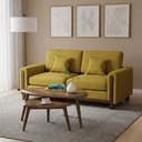 Mishu 2 Seater Sofa | HSV2-057