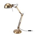 Forsa Work Lamp 