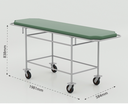 Drivo Patient Trolley Cum stretcher